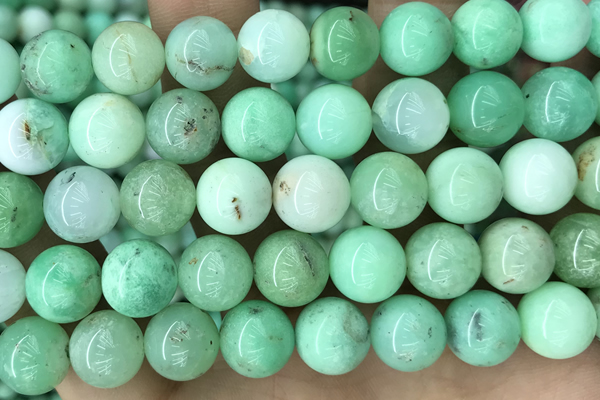 AUST03 15 inches 10mm round Australia chrysoprase gemstone beads