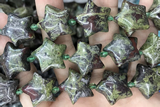 STAR37 15 inches 20mm star dragon blood jasper beads