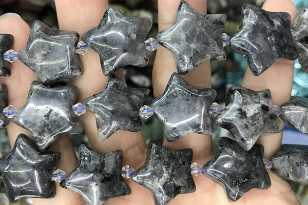 STAR38 15 inches 20mm star black labradorite beads