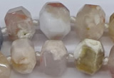 CAA1116 15.5 inches 13*18mm - 15*20mm faceted nuggets sakura agate beads