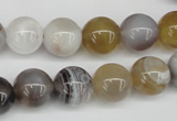 CAA226 15.5 inches 12mm round botswana agate gemstone beads