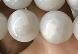 CAA2344 15.5 inches 12mm round white crazy lace agate beads wholesale