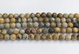 CAA2351 15.5 inches 10mm round crazy lace agate beads wholesale