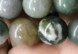 CAA2366 15.5 inches 10mm round Indian agate beads wholesale