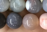 CAA2382 15.5 inches 12mm round Botswana agate beads wholesale