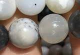 CAA3577 15.5 inches 8mm round parral dendrite agate beads