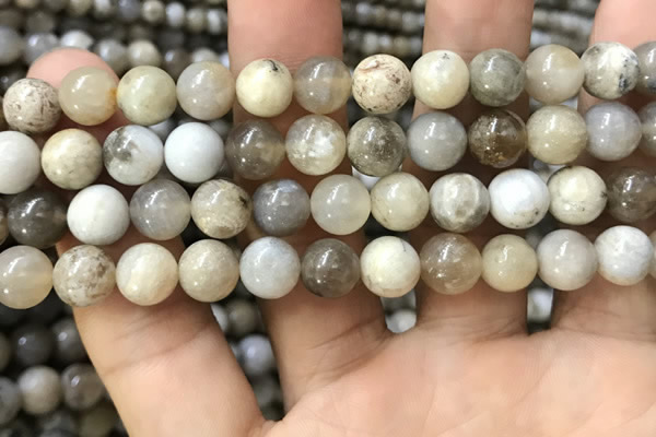 CAA3583 15.5 inches 8mm round ocean fossil agate beads wholesale