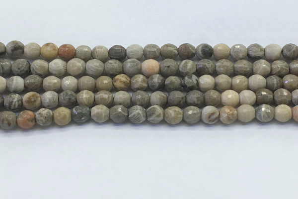 CAA3961 15.5 inches 6mm faceted round chrysanthemum agate beads