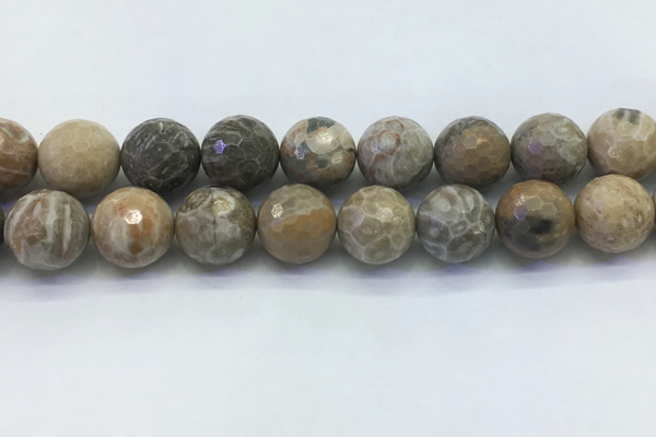 CAA3967 15.5 inches 18mm faceted round chrysanthemum agate beads