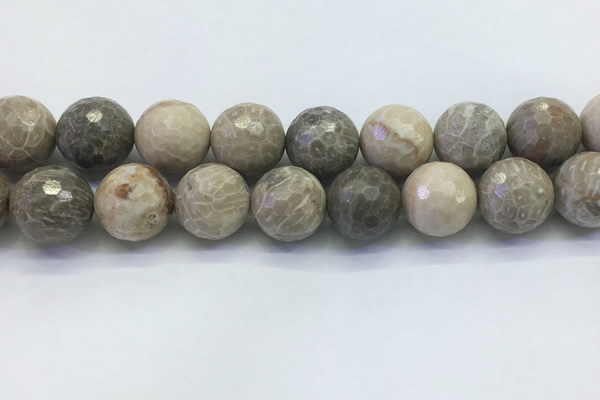 CAA3968 15.5 inches 20mm faceted round chrysanthemum agate beads