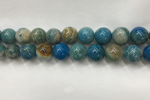 CAA3982 15.5 inches 16mm round chrysanthemum agate beads