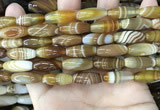 CAA4165 15.5 inches 8*20mm rice line agate beads wholesale