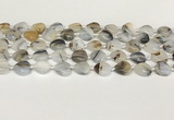 CAA4386 15.5 inches 12mm heart Montana agate beads