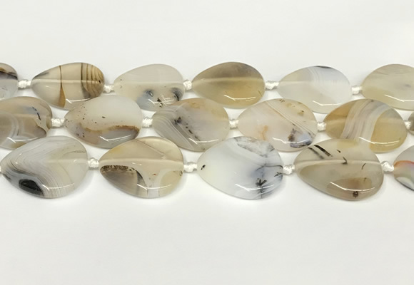 CAA4392 15.5 inches 30*30mm flat round Montana agate beads