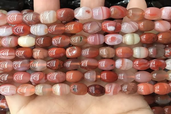 CAA4567 15.5 inches 7*10mm - 8*11mm rice south red agate beads