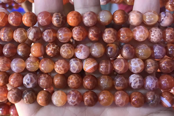 CAA5072 15.5 inches 8mm round red dragon veins agate beads