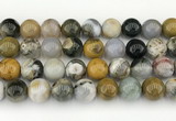 CAA5334 15.5 inches 12mm round ocean agate beads wholesale