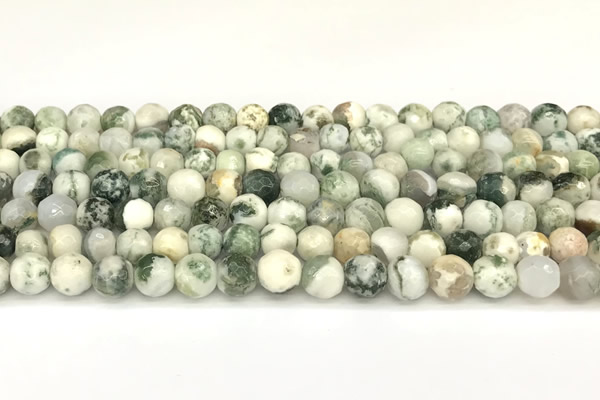 CAA5800 15 inches 6mm faceted round tree agate beads