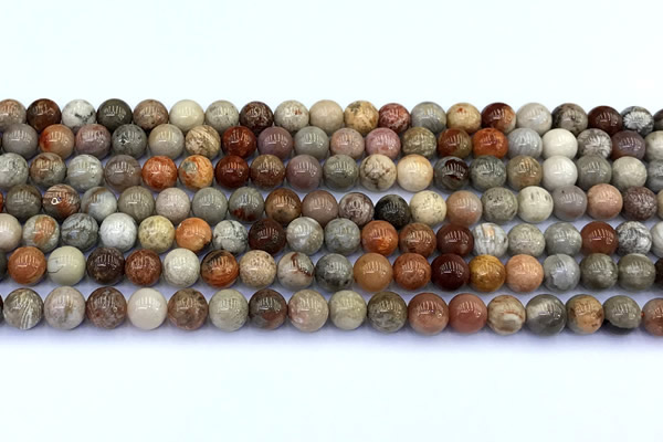 CAA5810 15 inches 6mm round chrysanthemum agate beads