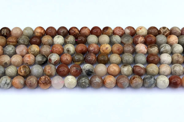 CAA5811 15 inches 8mm round chrysanthemum agate beads