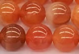 CAA5926 15 inches 10mm round red botswana agate beads