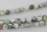 CAA700 15.5 inches 6mm round tree agate gemstone beads wholesale