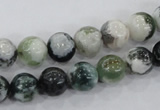 CAA702 15.5 inches 10mm round tree agate gemstone beads wholesale