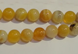 CAA89 15.5 inches 10mm round botswana agate gemstone beads