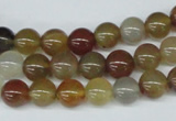 CAA891 15.5 inches 8mm round agate gemstone beads wholesale