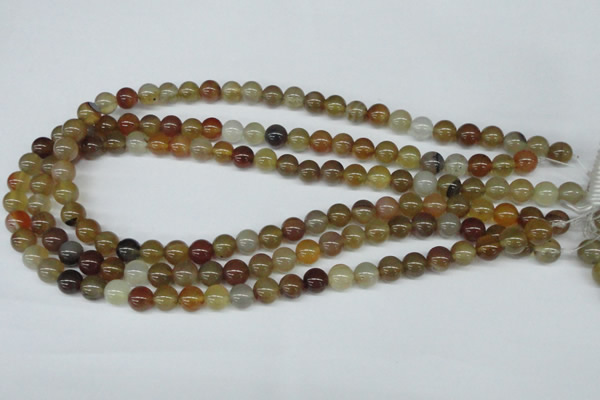 CAA891 15.5 inches 8mm round agate gemstone beads wholesale