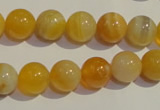 CAA91 15.5 inches 14mm round botswana agate gemstone beads