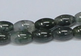 CAB389 15.5 inches 8*12mm rice moss agate gemstone beads wholesale