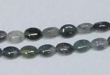 CAB408 15.5 inches 6*8mm oval moss agate gemstone beads wholesale