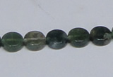 CAB419 15.5 inches 10mm coin moss agate gemstone beads wholesale