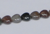 CAB453 15.5 inches 10*10mm heart indian agate gemstone beads