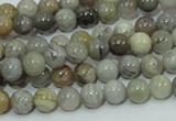 CAB66 15.5 inches 6mm round silver needle agate gemstone beads