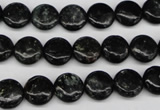 CAE44 15.5 inches 10mm flat round astrophyllite beads wholesale