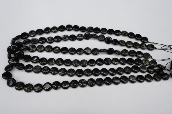 CAE44 15.5 inches 10mm flat round astrophyllite beads wholesale