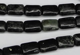 CAE88 15.5 inches 8*12mm rectangle astrophyllite beads wholesale