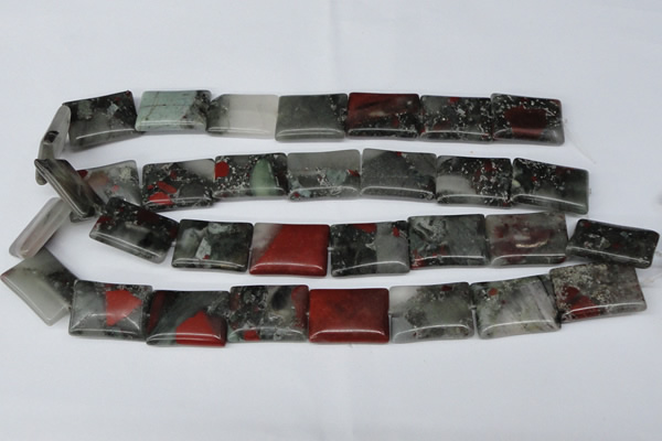 CAF02 15.5 inches 18*25mm rectangle African bloodstone beads