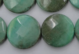 CAG1615 15.5 inches 25mm faceted coin green grass agate beads