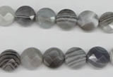 CAG1762 15.5 inches 10mm faceted coin Chinese botswana agate beads