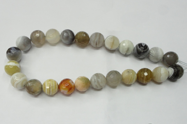 CAG1815 15.5 inches 14mm faceted round Chinese botswana agate beads