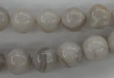 CAG1898 15.5 inches 12mm round grey agate beads wholesale