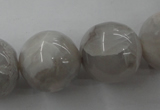 CAG1902 15.5 inches 20mm round grey agate beads wholesale