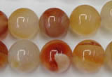 CAG2377 15.5 inches 16mm round red agate beads wholesale