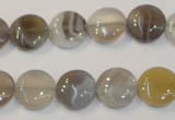 CAG2435 15.5 inches 12mm flat round Chinese botswana agate beads