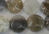 CAG2438 15.5 inches 18mm flat round Chinese botswana agate beads