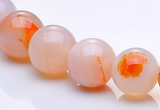 CAG265 15 inch 12mm round agate gemstone beads Wholesale