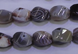 CAG2768 15.5 inches 10*14mm twisted rice botswana agate beads wholesale